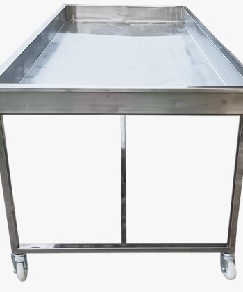 MCA- 11 Stainless Steel Work Table(Dairy Processing )