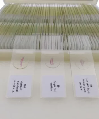 MCS-10J ZOOLOGY PREPARED SLIDES-MAMALIAN HISTOLOGY