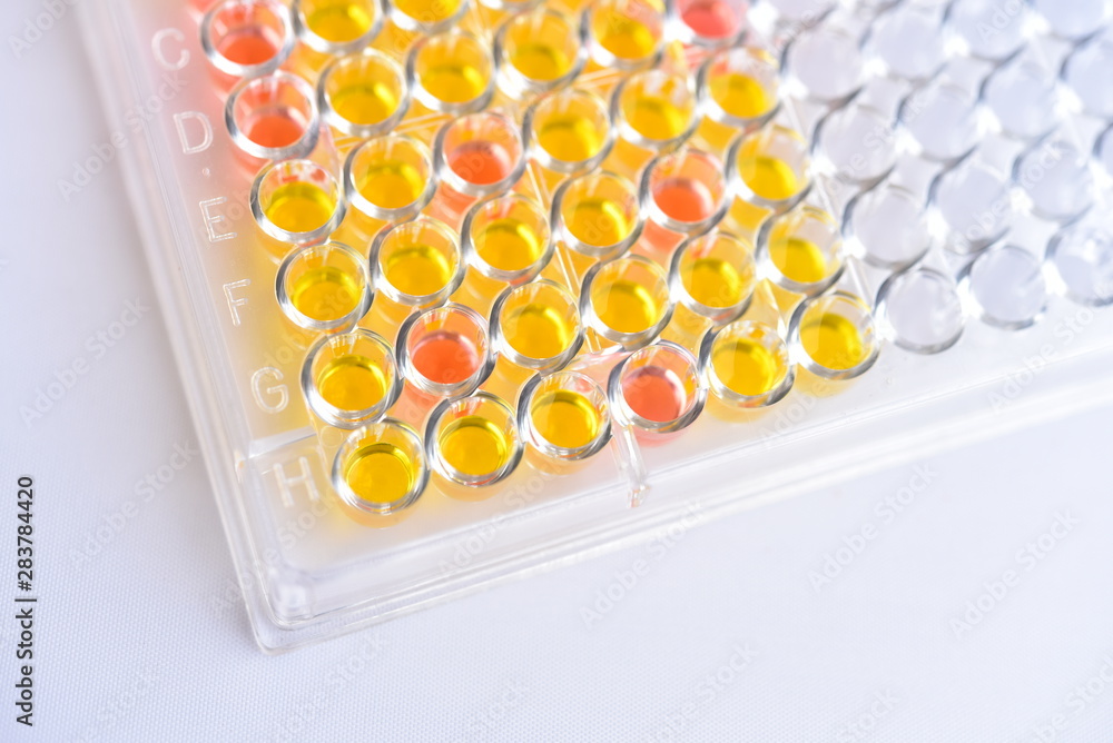LPW-81 IMMUNOLOGY ELISA ASSAY PLATE LPW-81 IMMUNOLOGY ELISA ASSAY PLATE