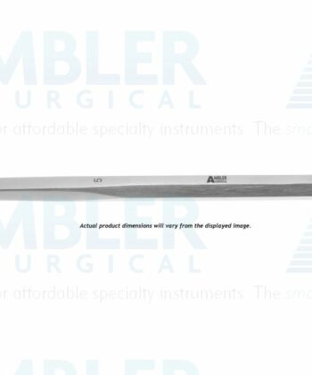 HSI-819 BISHOP MASTOID CHISEL