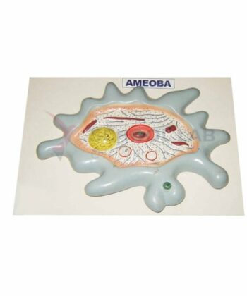 ZM-34 AMOEBA MODEL-MOUNTED ON BASE