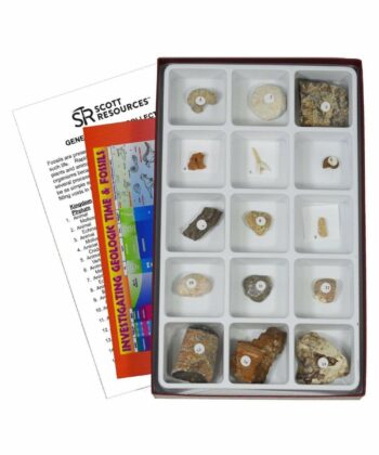 PHY-MESS-11 GENERAL FOSSIL COLLECTION KIT