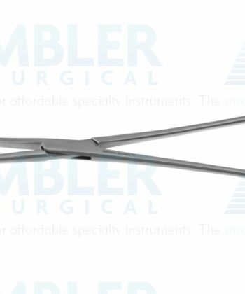 HSI-925 BLAKE GALL STONE FORCEPS