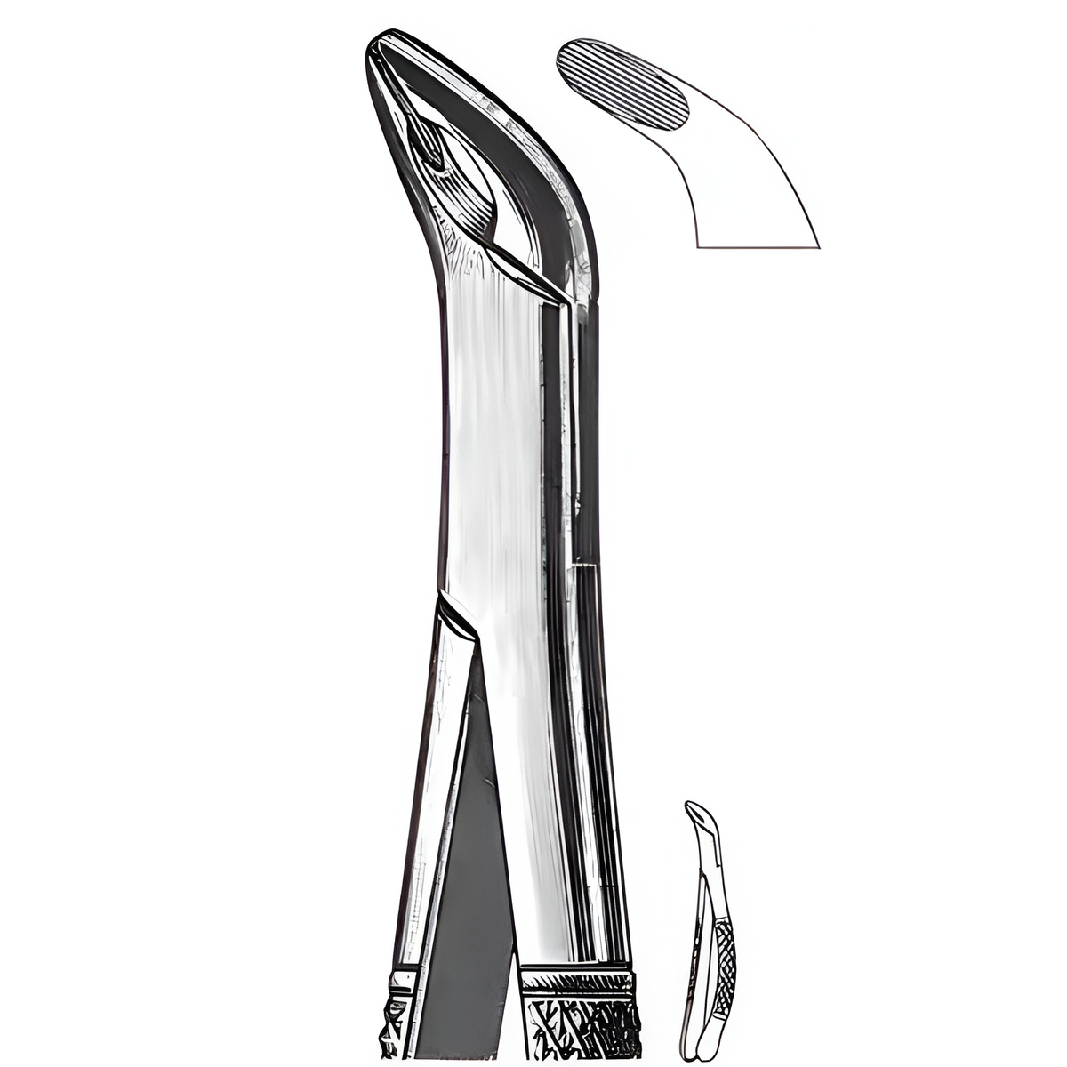 HSI-1259 CRYER’S FORCEPS LOWER BICUSIPIDS, INCISORS AND ROOTS HSI-1259 CRYER’S FORCEPS LOWER BICUSIPIDS, INCISORS AND ROOTS