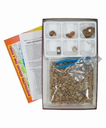 PHY-MESS-12 FOSSIL HUNT KIT