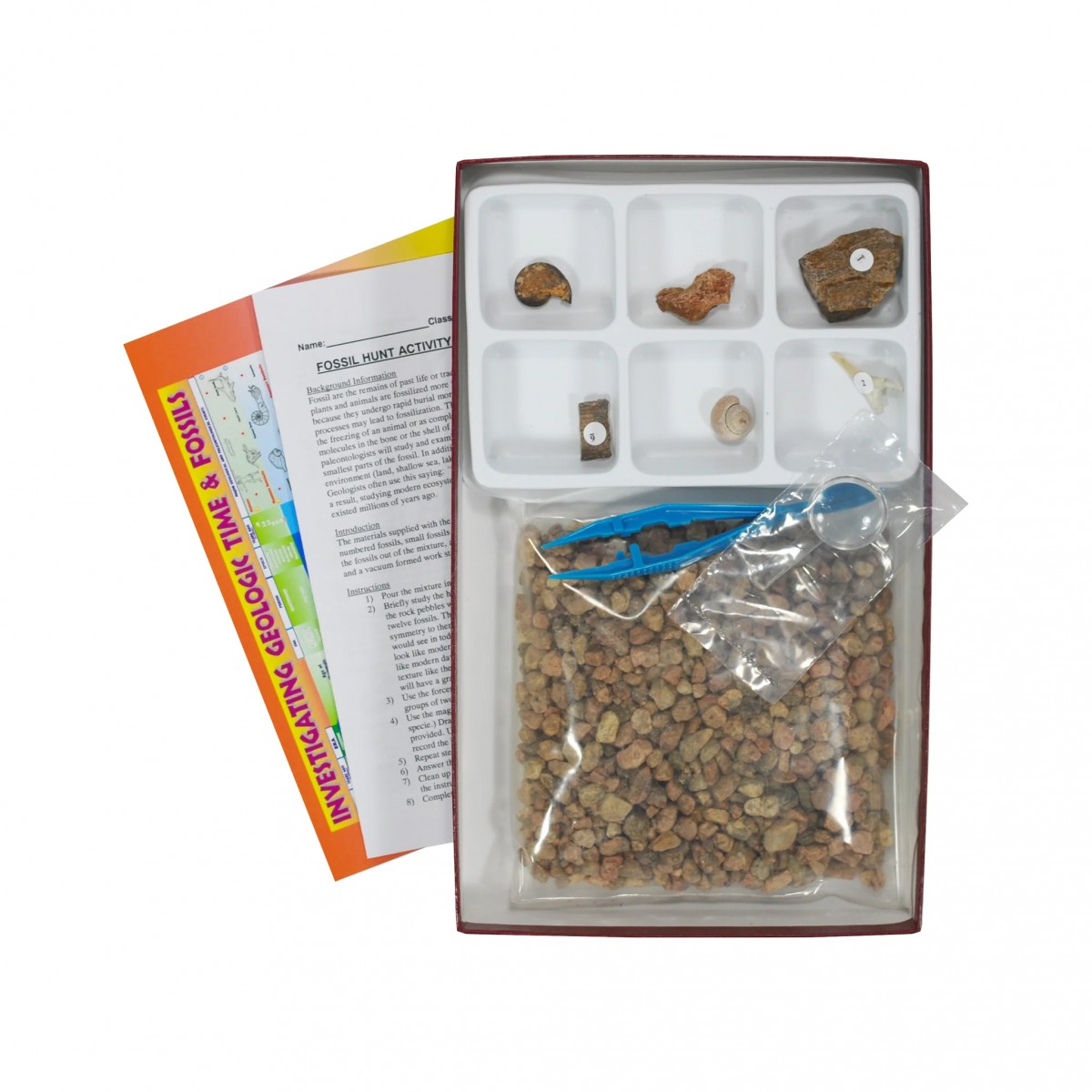 PHY-MESS-12 FOSSIL HUNT KIT PHY-MESS-12 FOSSIL HUNT KIT