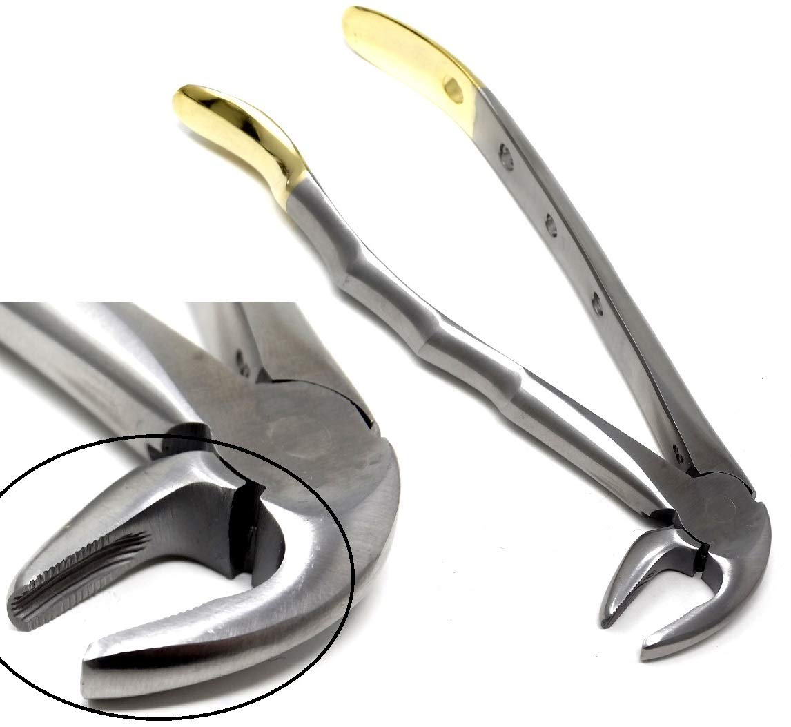 HSI-1263 EXTRACTING FORCEPS FOR LOWER BISCUSPIDS INCISOR AND ROOTS EITHER SIDES HSI-1263 EXTRACTING FORCEPS FOR LOWER BISCUSPIDS INCISOR AND ROOTS EITHER SIDES