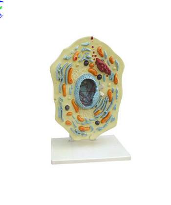 ZM-21 MODEL ANIMAL CELL(NEW TYPE)