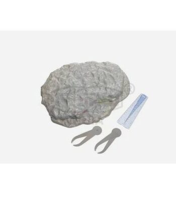 PHY-MESS-14 VARIATION AND EVOLUTION FOSSIL KIT