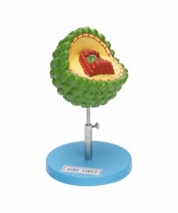 ZM-30 AIDS VIRUS MODEL-MOUNTED ON STAND