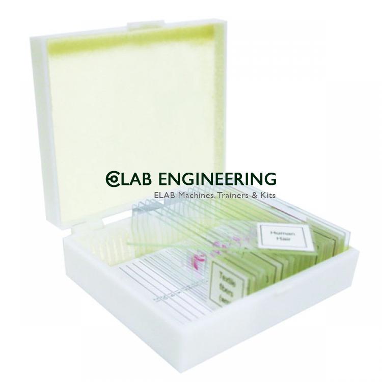 MCS-10K ZOOLOGY PREPARED SLIDES-HISTOLOGICAL PREPARATIONS MCS-10K ZOOLOGY PREPARED SLIDES-HISTOLOGICAL PREPARATIONS