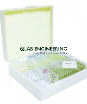 MCS-10O ZOOLOGY PREPARED SLIDES-VIROLOGY AND BACTERIOLOGY