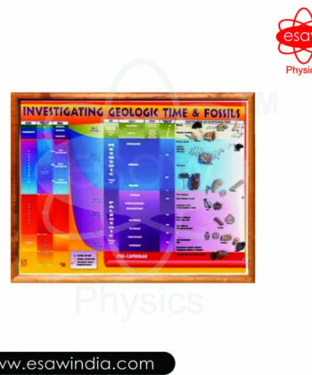 PHY-MESS-17 INVESTIGATING GEOLOGICAL TIME AND FOSSILS CHART