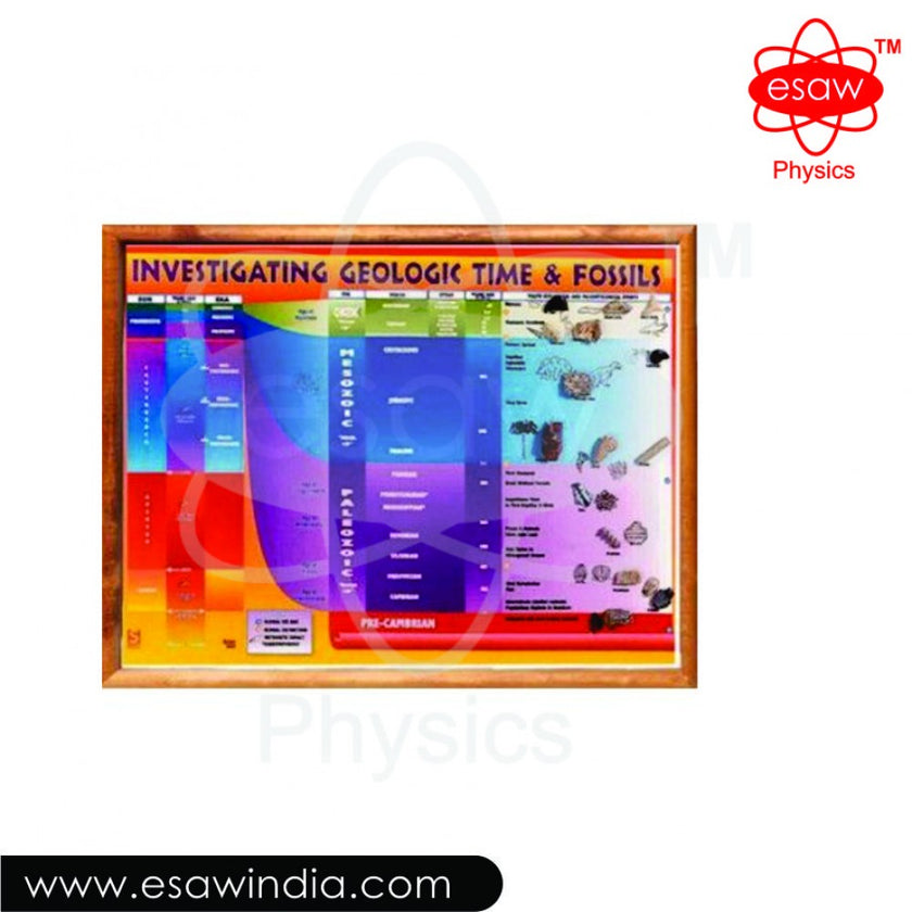 PHY-MESS-17 INVESTIGATING GEOLOGICAL TIME AND FOSSILS CHART PHY-MESS-17 INVESTIGATING GEOLOGICAL TIME AND FOSSILS CHART