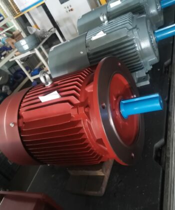 PEE-378D THREE PHASE AC SQUIRREL CAGE INDUCTION MOTOR (SPEED CONTROL)