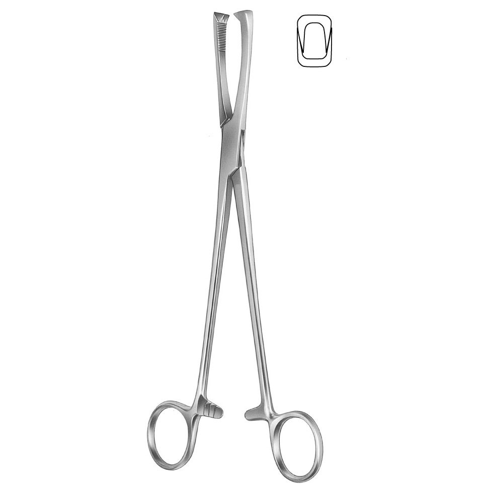HSI-1037 JACOB’S UTERINE VULSELLUM FORCEPS STRAIGHT HSI-1037 JACOB’S UTERINE VULSELLUM FORCEPS STRAIGHT