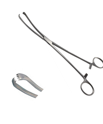 HSI-1036 TEALE VULSELLUM FORCEPS
