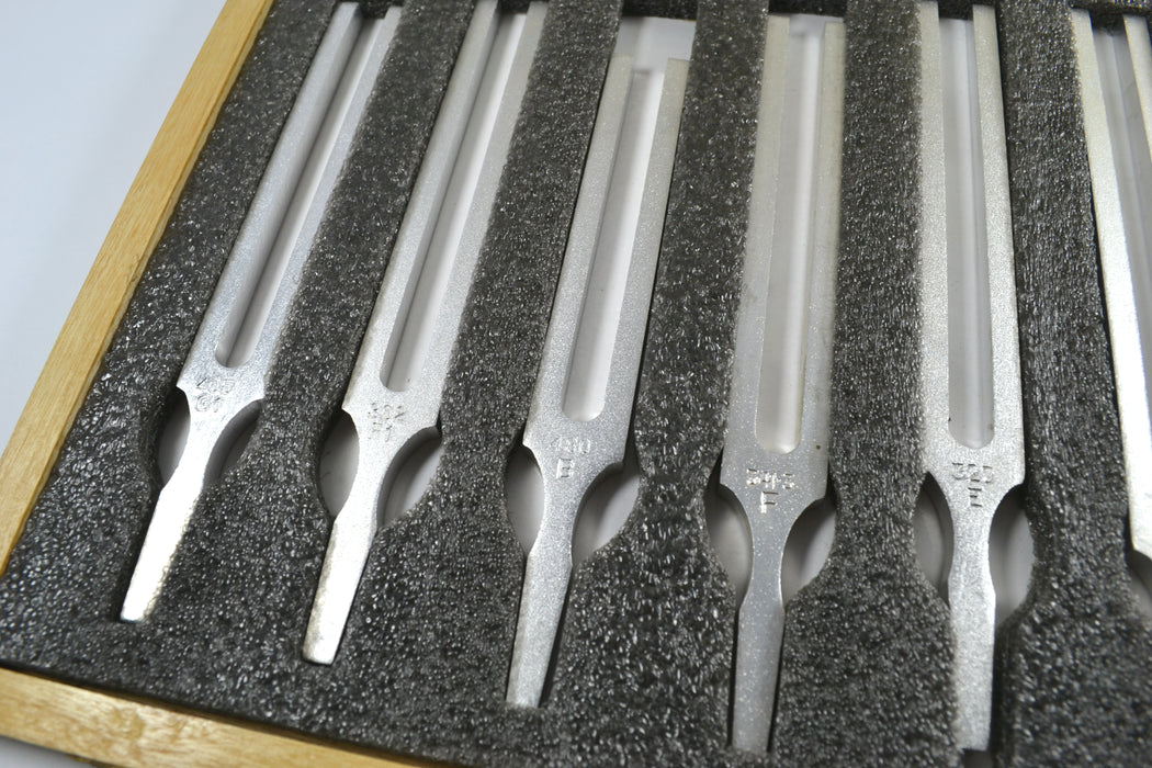 PHY-WAVE-005 TUNING FORK (SET OF 13) ALUMINUM PHY-WAVE-005 TUNING FORK (SET OF 13) ALUMINUM