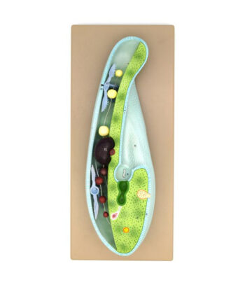 ZM-31 PARAMECIUM MODEL-MOUNTED ON BASE