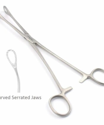 HSI-307 FORESTER SPONGE HOLDING WITH BOX JOINT  CURVED